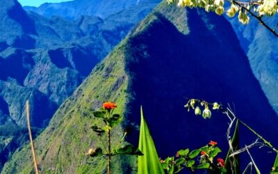 Les fruits séchés : le compagnon idéal pour vos randonnées à travers l’île de la Réunion